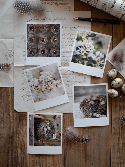 Die kleinen Feinen - Nestliebe