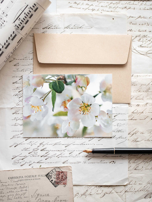 Postkarte Apfelblüte