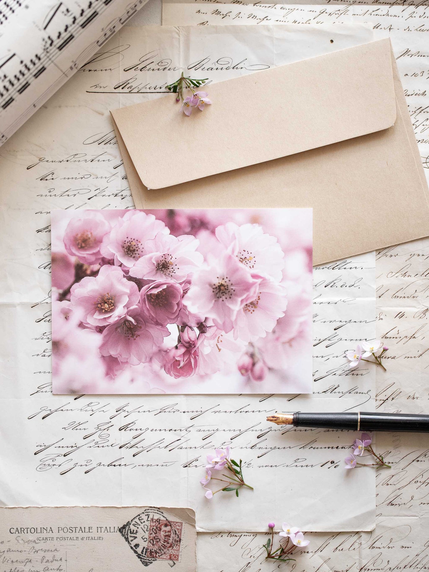 Postkarte Kirschblüten