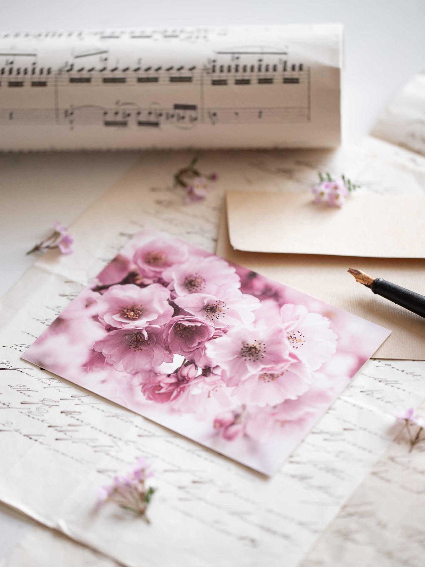 Postkarte Kirschblüten