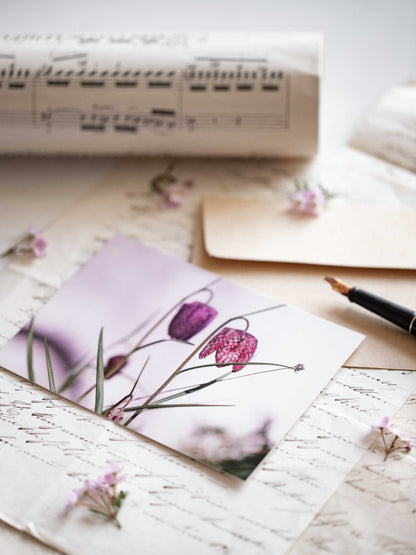 Postkarte Schachrettblume