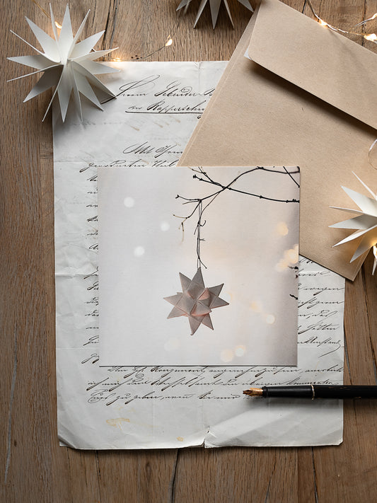 Von edler Art Weihnachtsstern