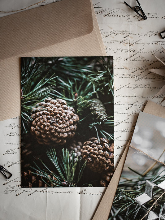 Postkarte Kieferzapfengrün