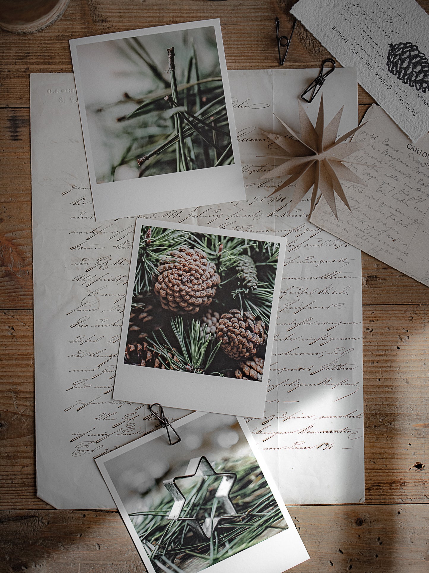 Die kleinen Feinen Nadelgrüne Weihnachtszeit