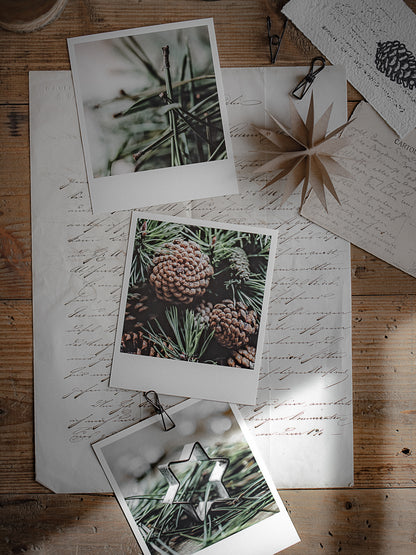 Die kleinen Feinen Nadelgrüne Weihnachtszeit