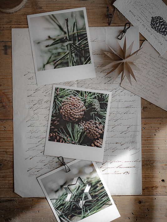 Die kleinen Feinen Nadelgrüne Weihnachtszeit