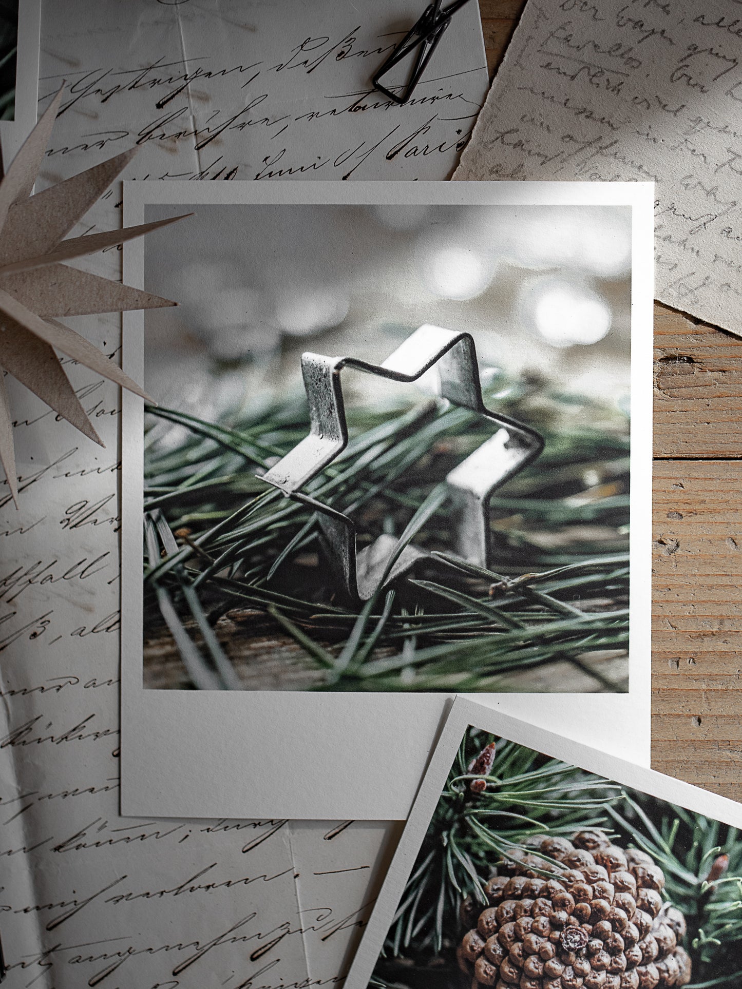 Die kleinen Feinen Nadelgrüne Weihnachtszeit