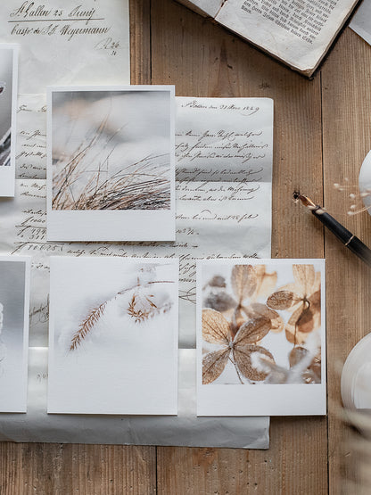 Die kleinen Feinen Winterstill