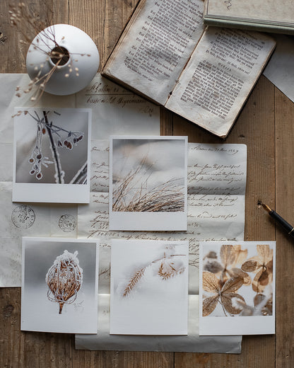 Die kleinen Feinen Winterstill